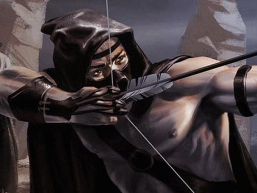 Shadow Archers Online Game