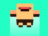 Flap Up Online Game