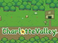 Charlotte Valley Puzzle Game
