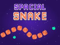 Spacial Snake Online Game