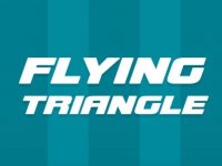 Triangle Flight Arcade