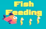 Feeding Fish: Ocean Adventure