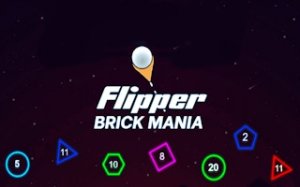Brick Breaker Pinball Puzzle