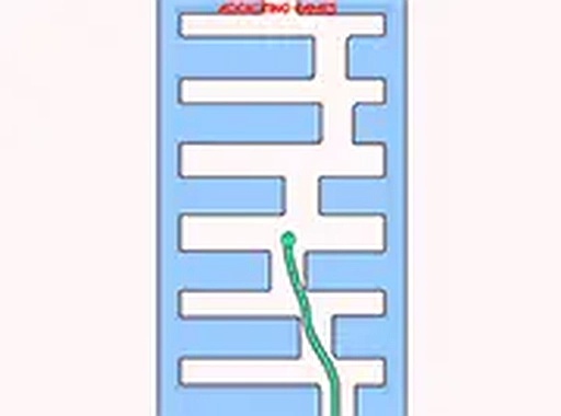 Serpent Path Challenge